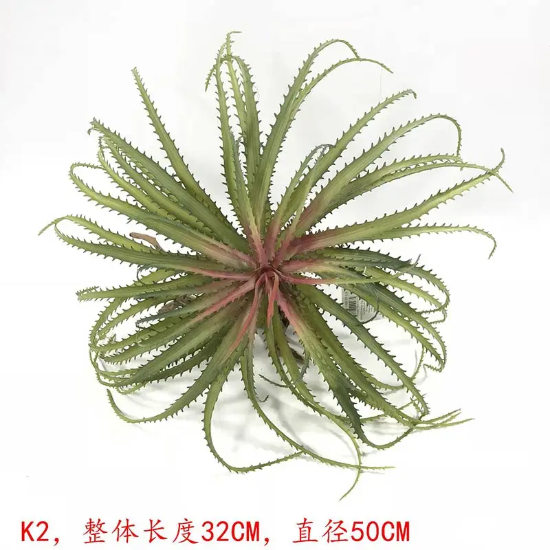 K2