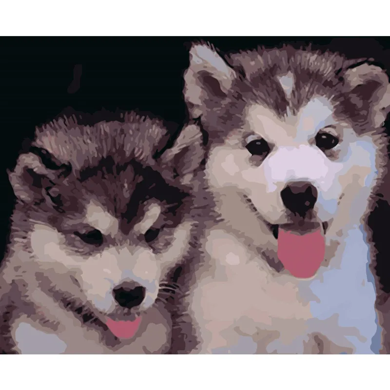 Painting By Numbers DIY Dropshipping 40x50 50x65cm Two cute husky puppies Animal Canvas Wedding Decoration Art picture Gift
Painting By Numbers DIY Dropshipping 40x50 50x65cm Two cute husky puppies Animal Canvas Wedding Decoration Art picture Gift