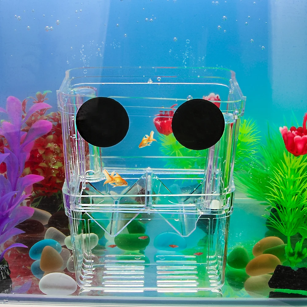 Fish Breeding Box Floating Isolation Hatchery Box Fish Tank Aquarium Breeder Box with 3pcs Pasteur Pipette for Aquarium Tank
Fish Breeding Box Floating Isolation Hatchery Box Fish Tank Aquarium Breeder Box with 3pcs Pasteur Pipette for Aquarium Tank