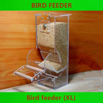 Bird Tools Automatic feeders Starling Parrot Bird equipment Diet Tools Small Bird Feeder Transparent New Bird food containers
Bird Tools Automatic feeders Starling Parrot Bird equipment Diet Tools Small Bird Feeder Transparent New Bird food containers