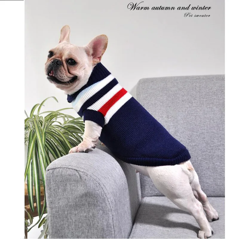 Pet Dog Clothes for Small Dog Coats Jacket Winter Dogs Cats Clothing Chihuahua Cartoon Pet Clothing Kawaii Dog Costume Clothes 3
Pet Dog Clothes for Small Dog Coats Jacket Winter Dogs Cats Clothing Chihuahua Cartoon Pet Clothing Kawaii Dog Costume Clothes 3