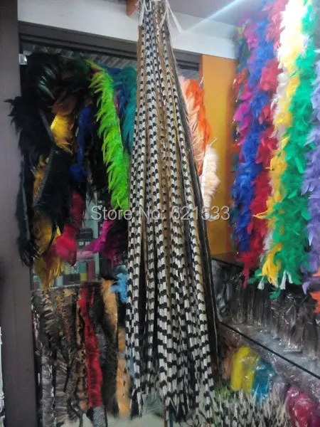 Long!10pcs Reeves(Venery)Pheasant Tail Feathers 100-110cm,natural brown / loose feathers bulk
Long!10pcs Reeves(Venery)Pheasant Tail Feathers 100-110cm,natural brown / loose feathers bulk