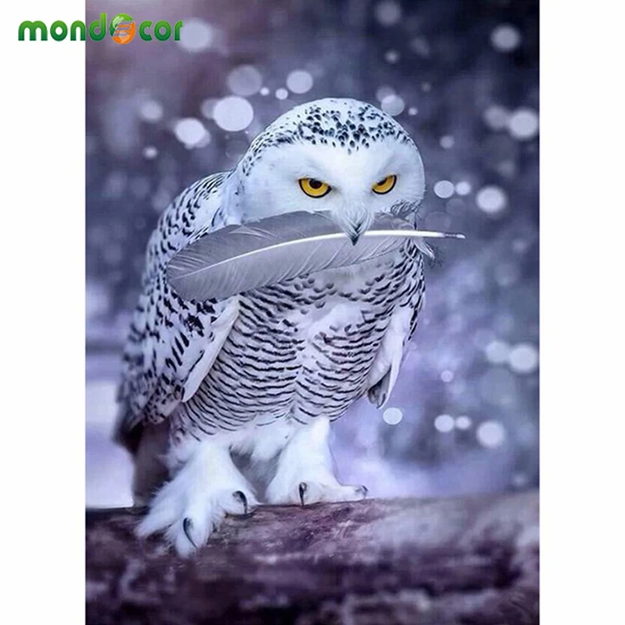 Mondecor Picture Paint on Canvas Diy Digital Oil Painting By Numbers Drawing Home Decor Owl Pictures for Living Room Wall Art
Mondecor Picture Paint on Canvas Diy Digital Oil Painting By Numbers Drawing Home Decor Owl Pictures for Living Room Wall Art