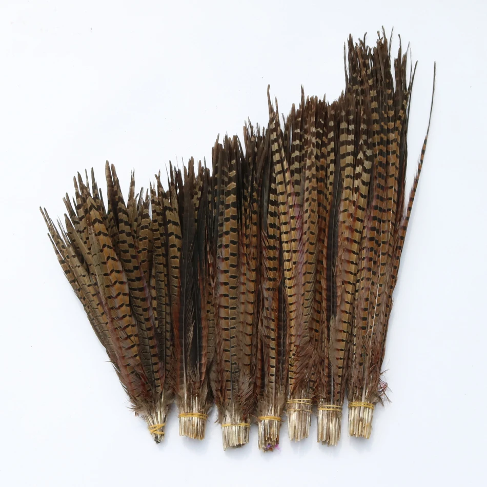 50 pcs 9 kinds of Natural plumes pheasant tail feathers for crafts lady amherst jewelry Headwear Christmas Holiday Decorations
50 pcs 9 kinds of Natural plumes pheasant tail feathers for crafts lady amherst jewelry Headwear Christmas Holiday Decorations