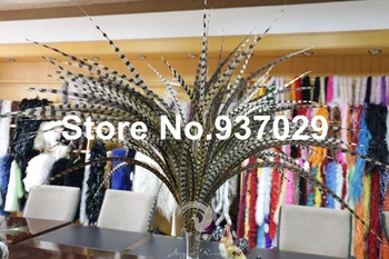 Factory Sales! Cheap 10pcs Natural reeves' pheasant tail feather 100-110cm Long Pheasant chicken tail feather
Factory Sales! Cheap 10pcs Natural reeves' pheasant tail feather 100-110cm Long Pheasant chicken tail feather
