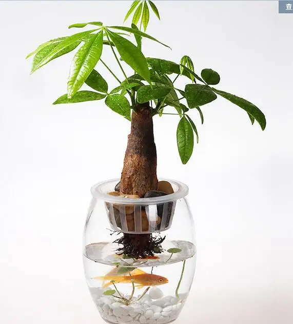 50% off,low price,PP hydroponics plants dedicated solid root colonization basket.soilless cultivation cup water plu deep
50% off,low price,PP hydroponics plants dedicated solid root colonization basket.soilless cultivation cup water plu deep