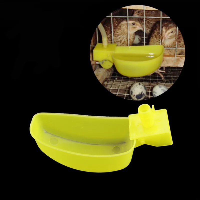 10 Pcs Bird Quail Waterer Hanging Cups Automatic Quail Drinker Bowl Bird Pigeons Feeding Equipment
10 Pcs Bird Quail Waterer Hanging Cups Automatic Quail Drinker Bowl Bird Pigeons Feeding Equipment
