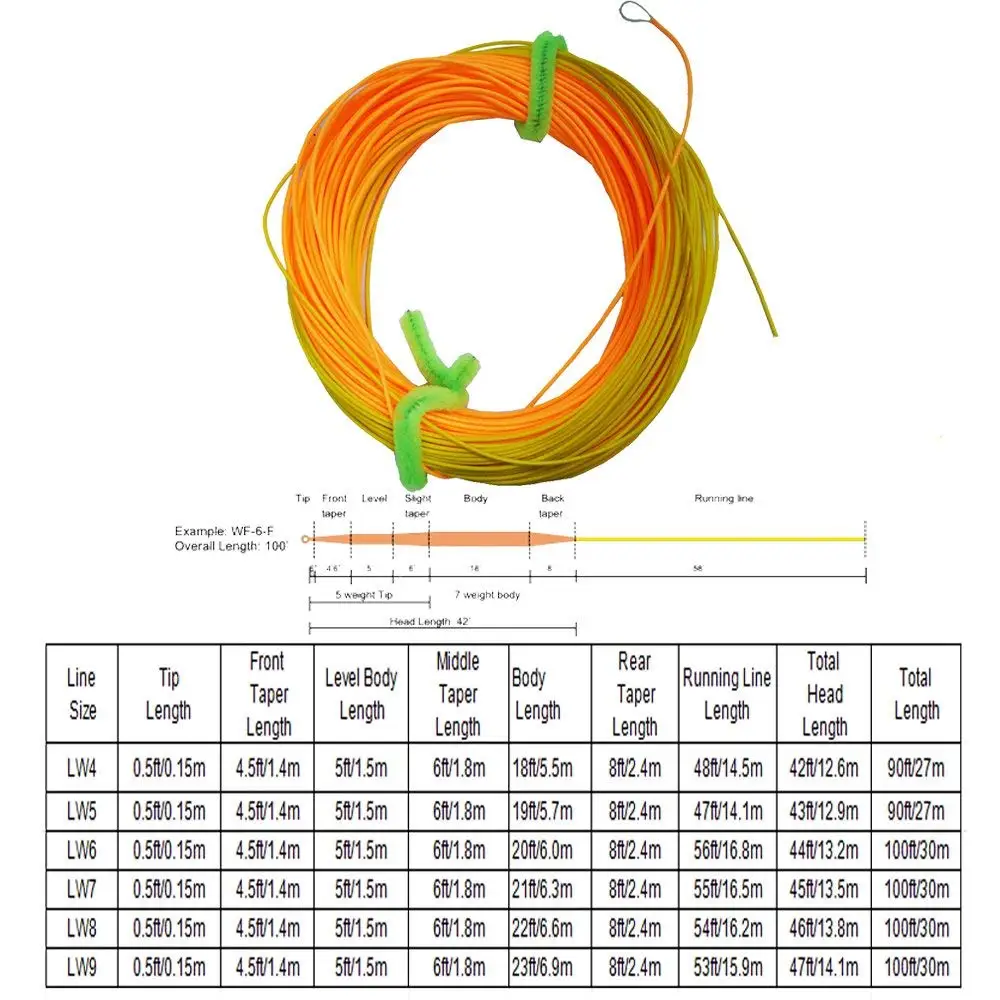 Aventik Double Color Weight Forward Floating Fly Fishing Trount Line With Exposed Loops
Aventik Double Color Weight Forward Floating Fly Fishing Trount Line With Exposed Loops