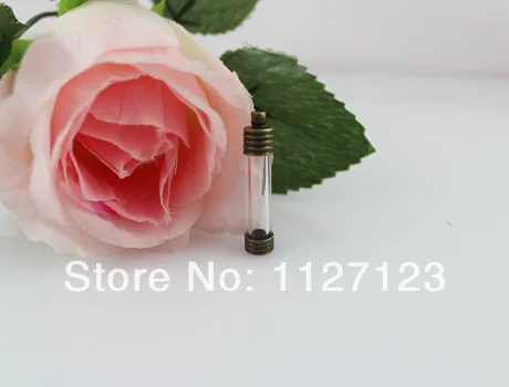 Free ship!!!20sets 6mm Straight tube Wishing Bottle pendant/glass vial pendant +Bronze base
Free ship!!!20sets 6mm Straight tube Wishing Bottle pendant/glass vial pendant +Bronze base