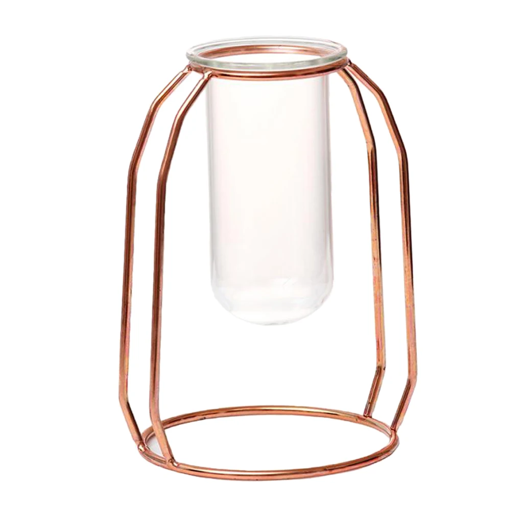 Glass Hydroponic Plant Water Flower Vase with Iron Stand for DIY Art Decoration Creative Gifts