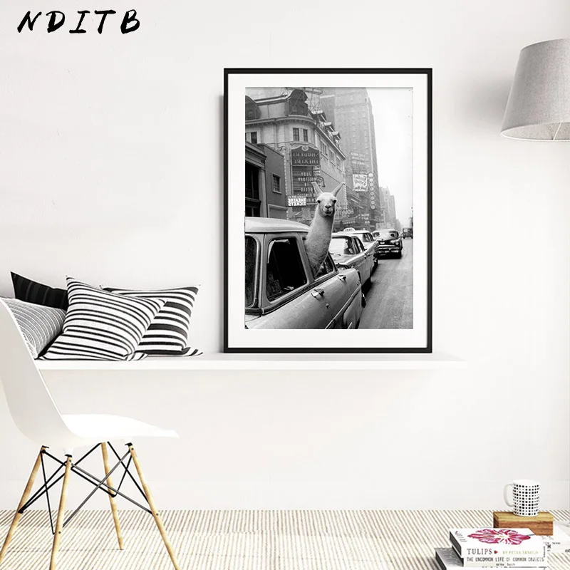 Vintage Llama Poster Black White Alpaca in the Taxi Canvas Art Print Wall Painting Decoration Picture Modern Living Room Decor
Vintage Llama Poster Black White Alpaca in the Taxi Canvas Art Print Wall Painting Decoration Picture Modern Living Room Decor