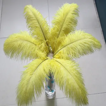 Beautiful wholesale 50pcs high quality 12-14inch/30-35cm yellow ostrich feathers Wedding Party Hotel Decoration
Beautiful wholesale 50pcs high quality 12-14inch/30-35cm yellow ostrich feathers Wedding Party Hotel Decoration