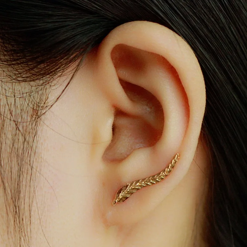 Korean Version Of The Art Small Fresh Handmade Leaves Earrings Tender Leaves Earrings Classic Alloy Simple Jewelry Gold Sliver
Korean Version Of The Art Small Fresh Handmade Leaves Earrings Tender Leaves Earrings Classic Alloy Simple Jewelry Gold Sliver