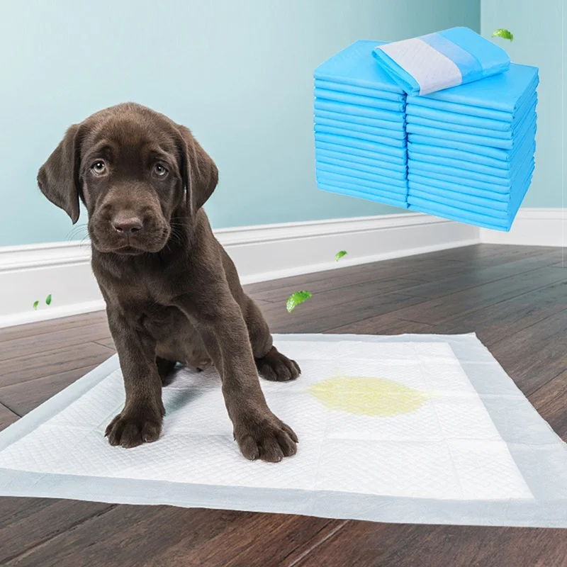 20 50 100pcs Useful Hot Soft Absorbent Cat Dog Urine Pad Disposable Diaper Pet Dog Mat Nappy Pet Pee Paper
20 50 100pcs Useful Hot Soft Absorbent Cat Dog Urine Pad Disposable Diaper Pet Dog Mat Nappy Pet Pee Paper