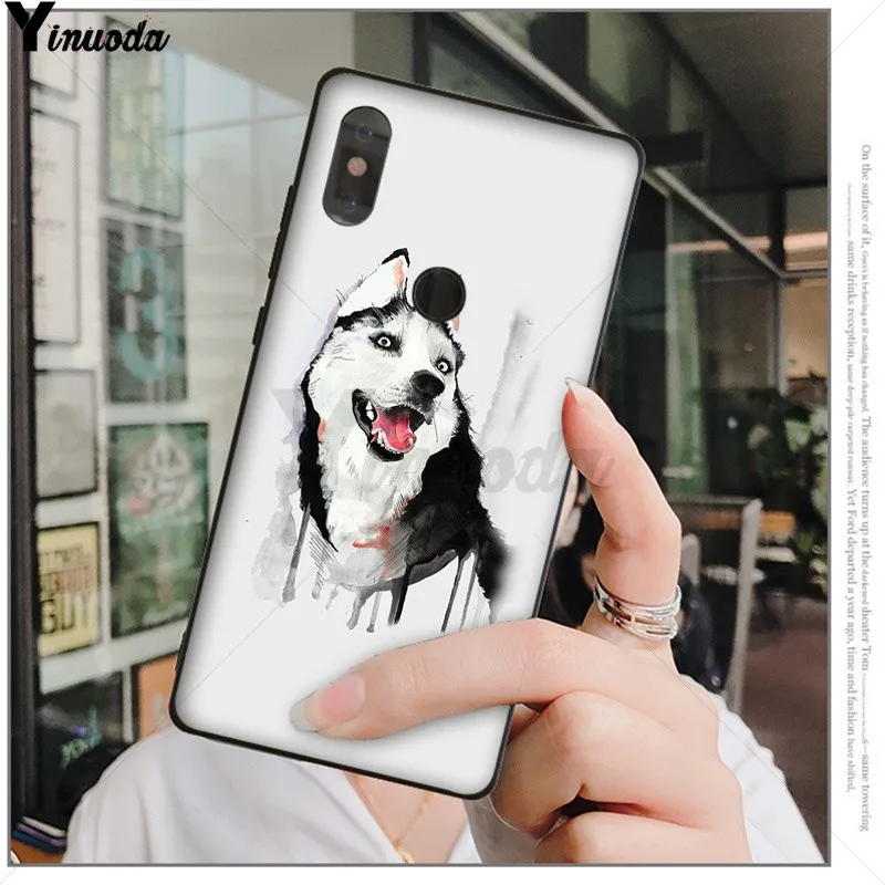 Animal Husky cute Puppy Dog