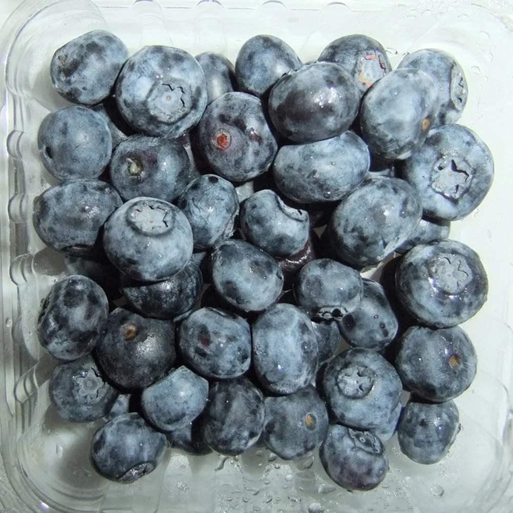 50pcs Artificial Blueberry Crafts Simulation Foam Fake Fruit Blueberries Photography Prop Home Kitchen Cabinet Decoration
50pcs Artificial Blueberry Crafts Simulation Foam Fake Fruit Blueberries Photography Prop Home Kitchen Cabinet Decoration