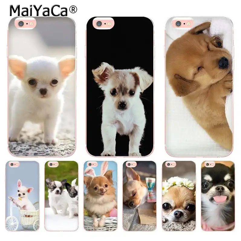 coque iphone 8 plus chihuahua coque iphone 8 plus chihuahua