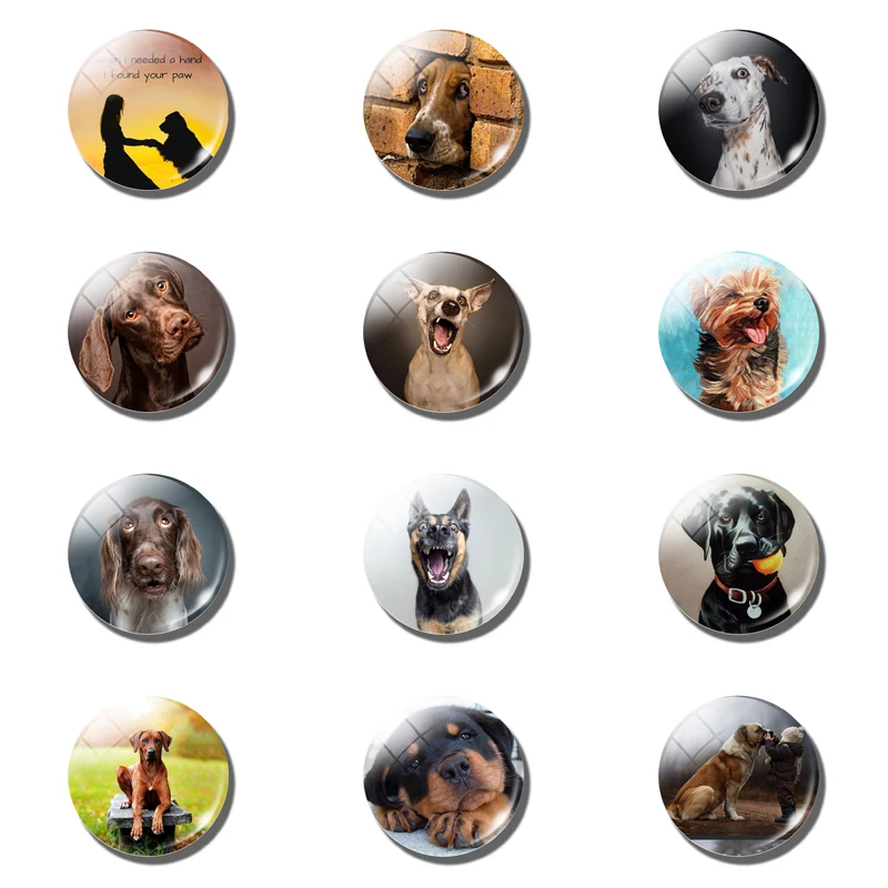 25MM 12pcs Dog Fridge Magnet Puppy Friends Glass Dome Magnetic Refrigerator Sticker for Children Cute Home Decor Dog Lover Gift
25MM 12pcs Dog Fridge Magnet Puppy Friends Glass Dome Magnetic Refrigerator Sticker for Children Cute Home Decor Dog Lover Gift