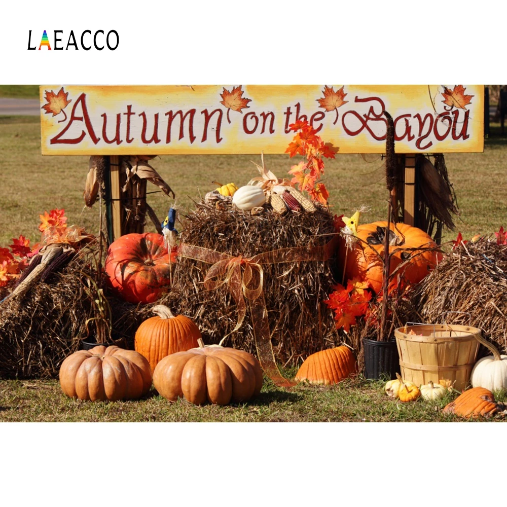 Laeacco Autumn Paddy Field Haystack Harvest Portrait Scene Photography Backgrounds Child Photographic Backdrops For Photo Studio
Laeacco Autumn Paddy Field Haystack Harvest Portrait Scene Photography Backgrounds Child Photographic Backdrops For Photo Studio