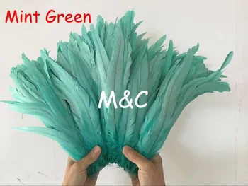 240pcs Mint Green rooster tails Feather 35-40cm/14-16inch coque cock tail Feather for wedding&christmas decorations
240pcs Mint Green rooster tails Feather 35-40cm/14-16inch coque cock tail Feather for wedding&christmas decorations