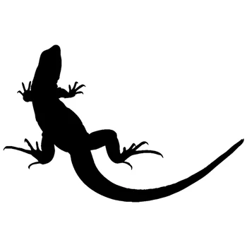CS-823#20*13cm car sticker lizard funny car sticker vinyl decal silver/black for auto car stickers styling car decoration
CS-823#20*13cm car sticker lizard funny car sticker vinyl decal silver/black for auto car stickers styling car decoration