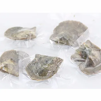 Interesting Gift Rice MultiColor Pearl Oyster 20pcs 7-8mm Single Rice Pearls in Akoya Oyster with vacuum-packed AO010
Interesting Gift Rice MultiColor Pearl Oyster 20pcs 7-8mm Single Rice Pearls in Akoya Oyster with vacuum-packed AO010
