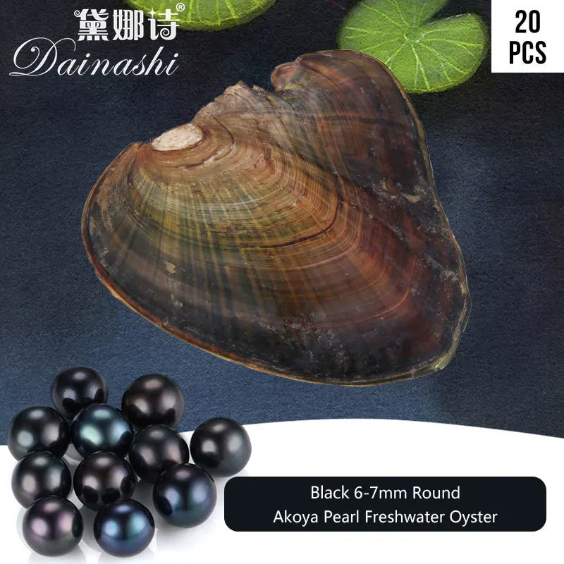 New 6-7mm Black Pearl Oysters With AAA Round Pearls, Wholesale 20pcs/pack, Freshwater Pearl Beads For Women Fine Surprise Gifts
New 6-7mm Black Pearl Oysters With AAA Round Pearls, Wholesale 20pcs/pack, Freshwater Pearl Beads For Women Fine Surprise Gifts
