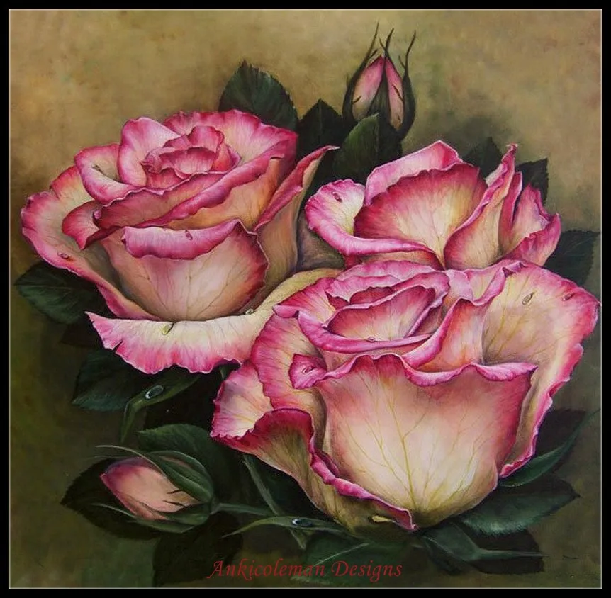 Delicate Roses - Counted Cross Stitch Kits - DIY Handmade Needlework for Embroidery 14 ct Cross Stitch Sets DMC Color
Delicate Roses - Counted Cross Stitch Kits - DIY Handmade Needlework for Embroidery 14 ct Cross Stitch Sets DMC Color