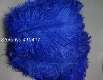 High Quanlity 50pcs Wholesale 25-30cm Sapphire Blue Ostrich Feathers For Decoration Craft
High Quanlity 50pcs Wholesale 25-30cm Sapphire Blue Ostrich Feathers For Decoration Craft