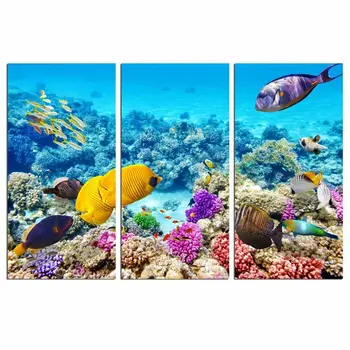 Undersea Canvas Print,Beautiful Underwater Ocean Coral and Fish Canvas Wall Art for Wall Decor Printed On Canvas Drop shipping
Undersea Canvas Print,Beautiful Underwater Ocean Coral and Fish Canvas Wall Art for Wall Decor Printed On Canvas Drop shipping