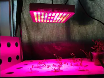 300w 600w LED Grow Lights Bulb Plant Lighting for Plant Led Grow Lamp for Hydroponics Green House grow box
300w 600w LED Grow Lights Bulb Plant Lighting for Plant Led Grow Lamp for Hydroponics Green House grow box