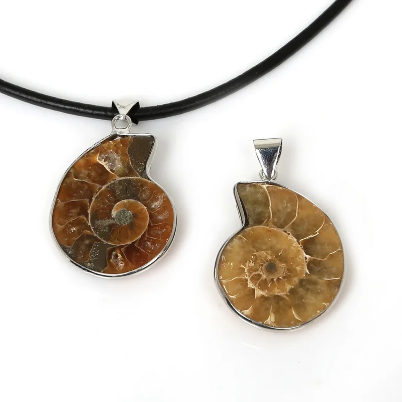 1pcs/lot Natural Ammonite Conch Shell Pendant Copper wrapping For Jewelry Making Charms Pendants DIY Bracelet
1pcs/lot Natural Ammonite Conch Shell Pendant Copper wrapping For Jewelry Making Charms Pendants DIY Bracelet