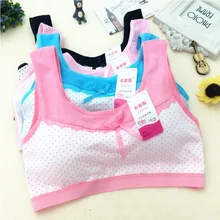 Sweet Kids Training Bra Cotton young Girl Underwear Teen Sports Bra with Chest Pad Puberty Underwear teenage girl Underclothes
Sweet Kids Training Bra Cotton young Girl Underwear Teen Sports Bra with Chest Pad Puberty Underwear teenage girl Underclothes