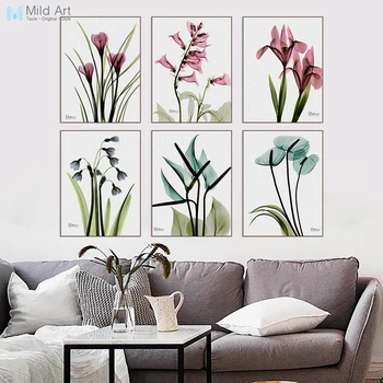 Beautiful Transparent X Ray Flower Floral Posters Nordic Living Room Wall Art Print Pictures Home Decor Canvas Painting No Frame
Beautiful Transparent X Ray Flower Floral Posters Nordic Living Room Wall Art Print Pictures Home Decor Canvas Painting No Frame