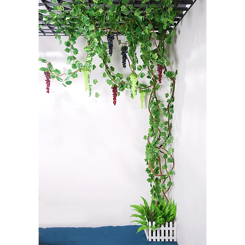 12 Pieces vine + 1 pieces grape artificial flower vine artificial vine ivy strip wedding decoration bedroom decoration leaf
12 Pieces vine + 1 pieces grape artificial flower vine artificial vine ivy strip wedding decoration bedroom decoration leaf