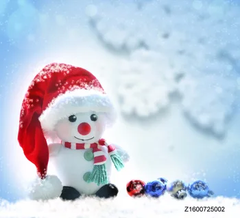 LIFE MAGIC BOX Vinyl Snow Man Cute Backgrounds Photo Backdrop Winter Photo Booth Backdrop
LIFE MAGIC BOX Vinyl Snow Man Cute Backgrounds Photo Backdrop Winter Photo Booth Backdrop