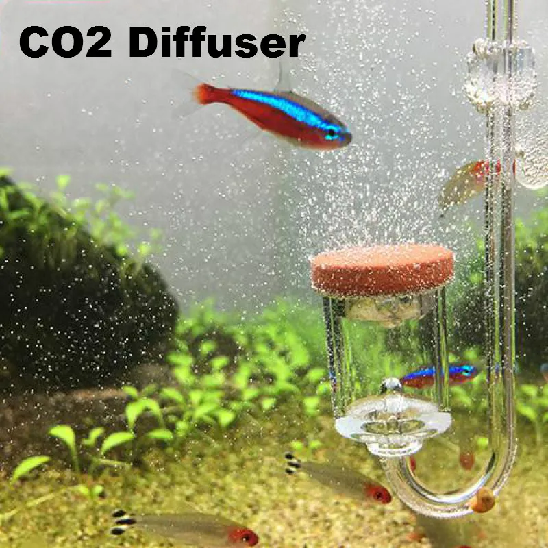 High Quality Fish Tank Transparent Bubble Counter Atomizer For Aquarium Water Plants Co2 Cylinder Diffuser Resolver
High Quality Fish Tank Transparent Bubble Counter Atomizer For Aquarium Water Plants Co2 Cylinder Diffuser Resolver