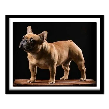 Full,Diamond Embroidery,5D,Diamond Painting French Bulldog Dog Cross Stitch dog 3D,Diamond patterns,Needlework,Christmas
Full,Diamond Embroidery,5D,Diamond Painting French Bulldog Dog Cross Stitch dog 3D,Diamond patterns,Needlework,Christmas