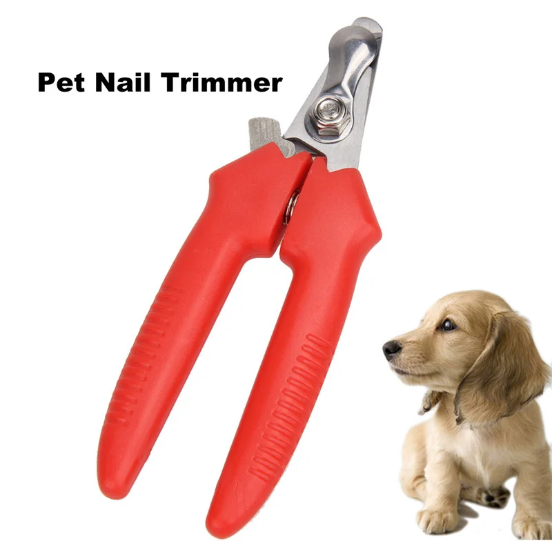 Professional Pet Dog Nail Clipper Cutter Stainless Steel Grooming Scissors Clippers for Cats
Professional Pet Dog Nail Clipper Cutter Stainless Steel Grooming Scissors Clippers for Cats