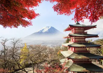 frozen Mt. Fuji Japan fall colors Maple Leaf tree Kiyomizu Temple Backgrounds Vinyl cloth Computer print wall backdrop
frozen Mt. Fuji Japan fall colors Maple Leaf tree Kiyomizu Temple Backgrounds Vinyl cloth Computer print wall backdrop