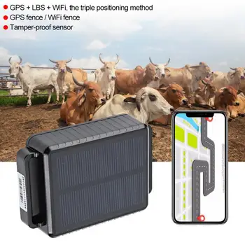 Intelligent Solar Animal Positioner GPS LBS WiFi Intelligent Anti-lost Locator Tracking
Intelligent Solar Animal Positioner GPS LBS WiFi Intelligent Anti-lost Locator Tracking