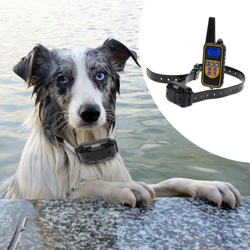 Rechargeable Waterproof Electronic Dog Training Collar Stop Barking LCD Display 800m Remote Electronic Shock 3Training Collars