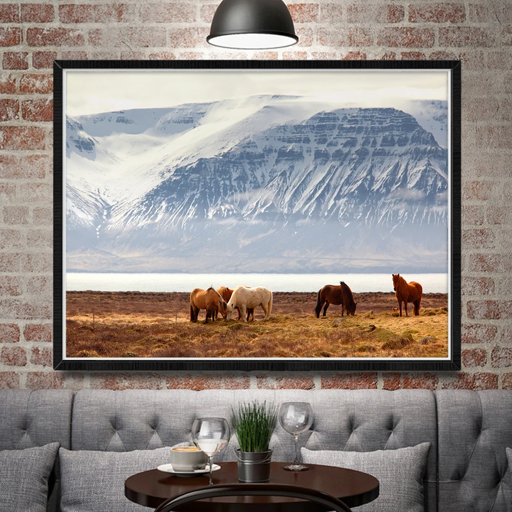 Icelandic Horse Posters and Prints Canvas Painting Wall Art Picture pictures Animal Paintings for decorations living room Decor
Icelandic Horse Posters and Prints Canvas Painting Wall Art Picture pictures Animal Paintings for decorations living room Decor