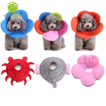 Elizabeth Circle Animals Flowers Neck Collars Protective Anti-scratch Circle Wound Healing Medical Recovery Pet Accessories 10A
Elizabeth Circle Animals Flowers Neck Collars Protective Anti-scratch Circle Wound Healing Medical Recovery Pet Accessories 10A
