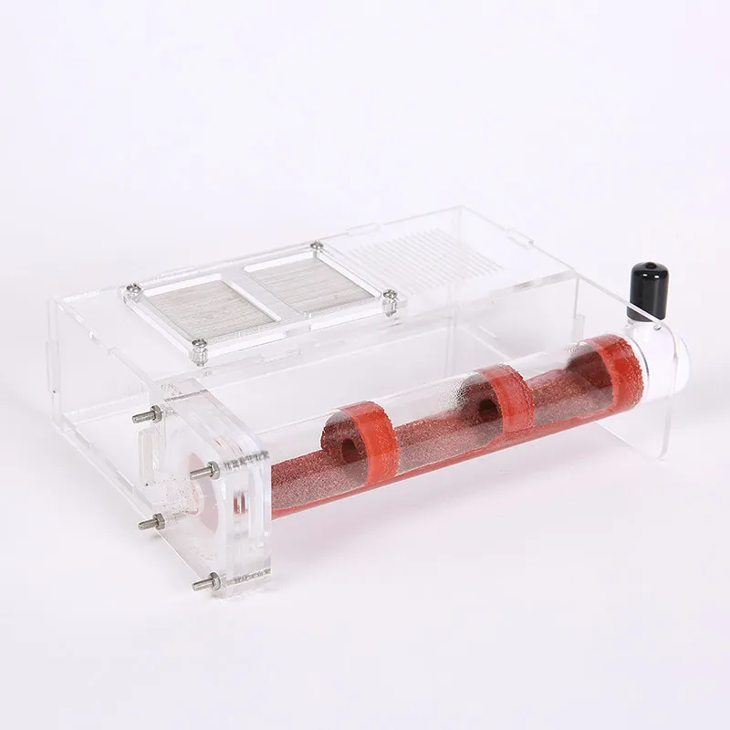 Test tube Moisture big space Ant Nest ,Ant Farm Acrylic, Insect ants Villa House Ants Ecological Workshop
Test tube Moisture big space Ant Nest ,Ant Farm Acrylic, Insect ants Villa House Ants Ecological Workshop