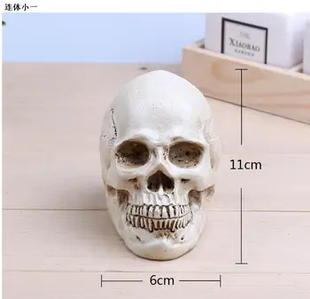 wholesale 11*6cm Mini gold skull Halloween head mannequin, resin skull, medical art, copying, drawing, sculpture ghost. M01007
wholesale 11*6cm Mini gold skull Halloween head mannequin, resin skull, medical art, copying, drawing, sculpture ghost. M01007