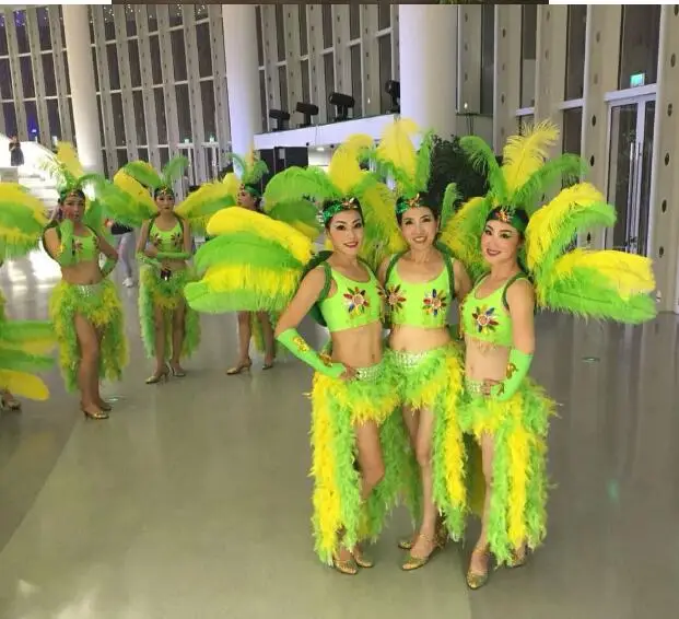 Cosplay festival carnival costumes Singer dance show women's sexy feather wings costume Samba feather backboard for women
Cosplay festival carnival costumes Singer dance show women's sexy feather wings costume Samba feather backboard for women