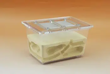 130*90*80mm Ant Nest Plaster Ant Farm Nid Formis Granji de Hormigas Small Ants Insect Cages Keep Moisture Ecofriendly Castle
130*90*80mm Ant Nest Plaster Ant Farm Nid Formis Granji de Hormigas Small Ants Insect Cages Keep Moisture Ecofriendly Castle
