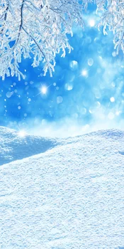 LIFE MAGIC BOX Cedar 150x200cm Custom Photo Backdrops Background Professional winter photo backdrop J02733
LIFE MAGIC BOX Cedar 150x200cm Custom Photo Backdrops Background Professional winter photo backdrop J02733