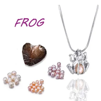 Frog cage pendant vacuum packed oyster multicolor pearl Silver Plated snake chain Necklace Best Gifts Women Girls Children PO37
Frog cage pendant vacuum packed oyster multicolor pearl Silver Plated snake chain Necklace Best Gifts Women Girls Children PO37